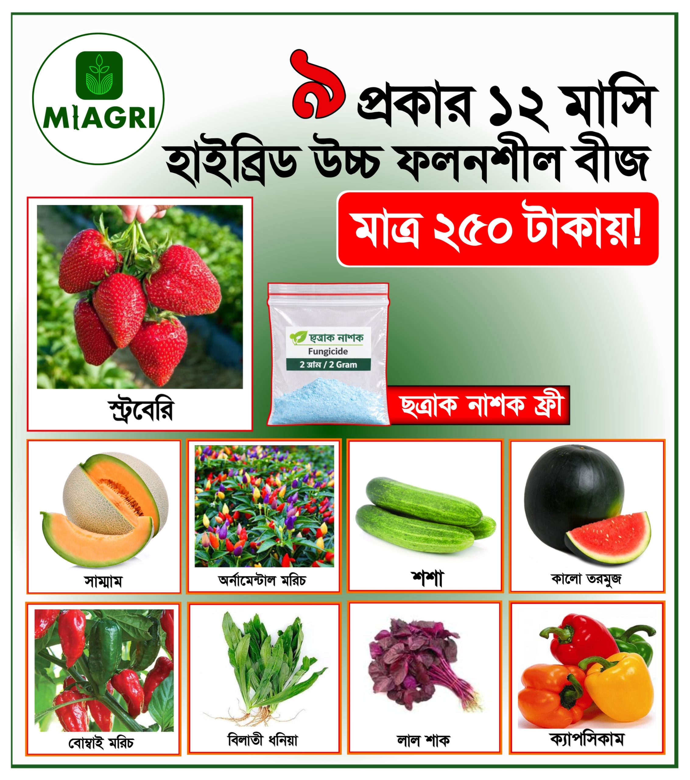 20260302_052054 ৯ প্রকার ১২ মাসি হাইব্রিড বীজ - Image 1