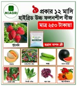 ৯ প্রকার ১২ মাসি হাইব্রিড বীজের প্যাকেজ - Image 2