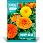 🌼 মাল্টি কালার ক্যালেন্ডুলা