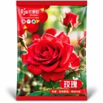 🌹 লাল গোলাপ