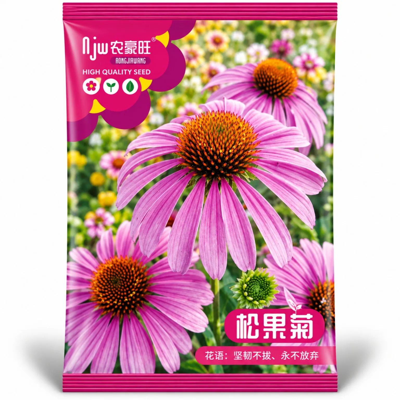 83324 ইকিনেশিয়া বীজ - Image 1