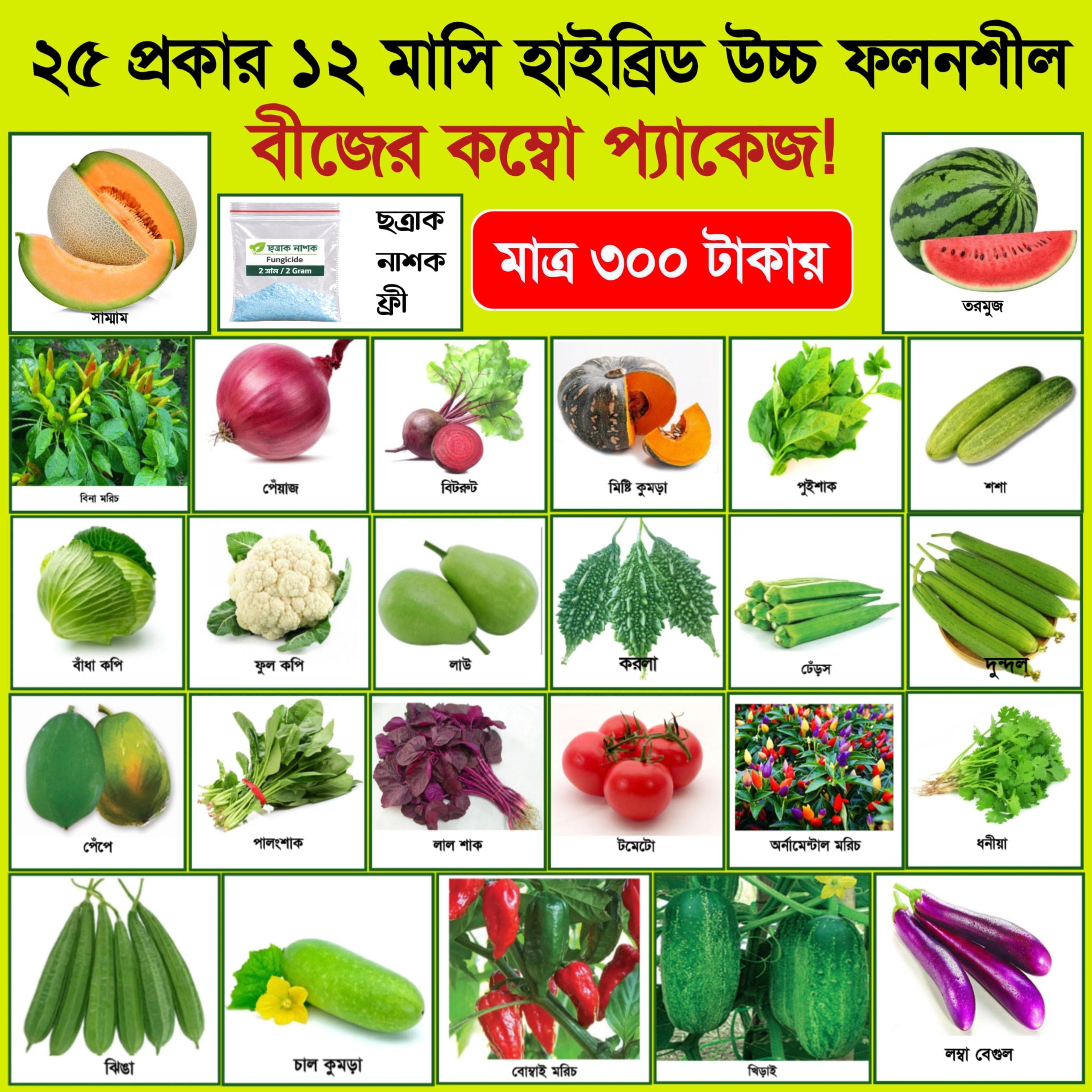 20260101_004409 ২৫ প্রকার ১২ মাসি হাইব্রিড বীজের কম্বো প্যাকেজ - Image 1