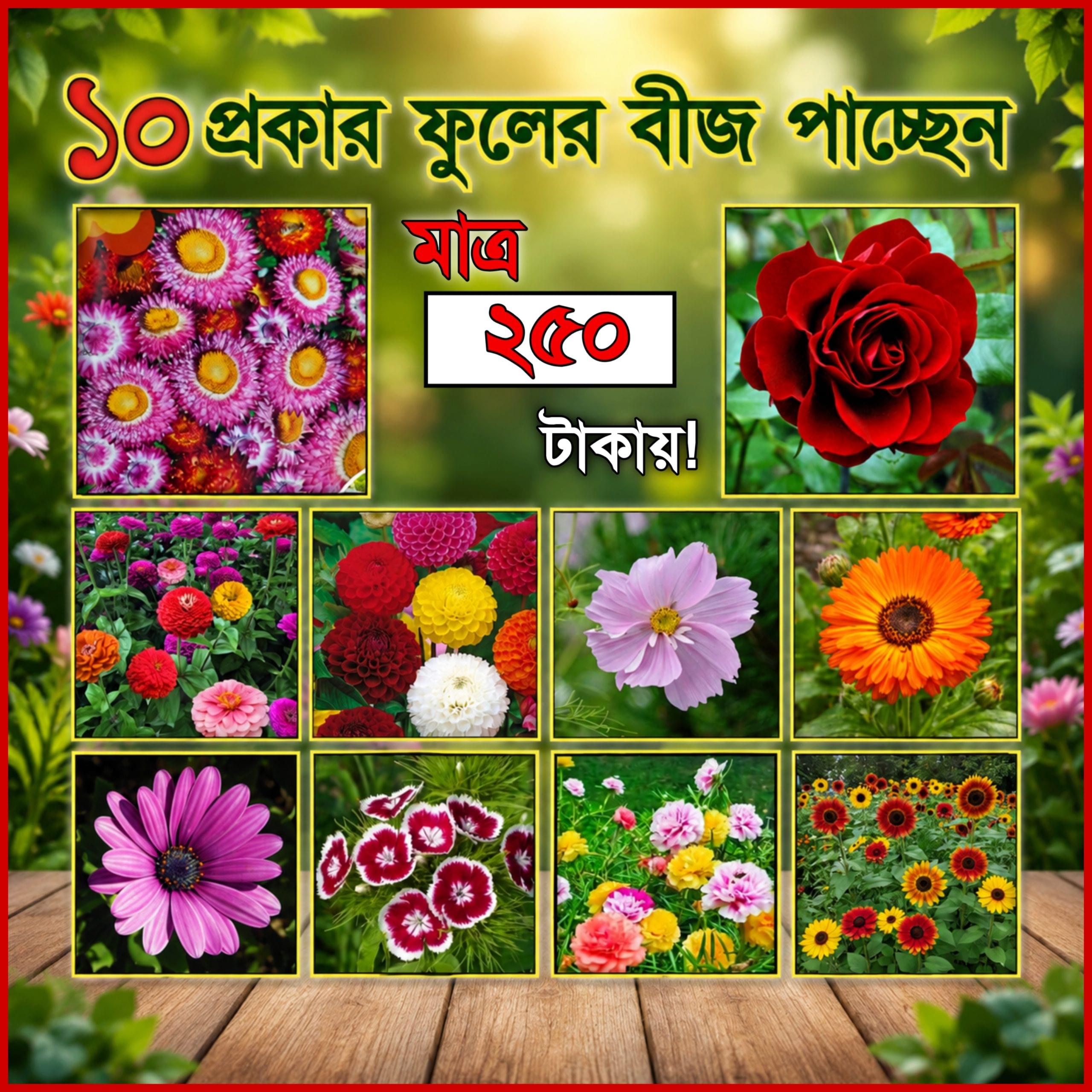 ১০ প্রকার ফুলের বীজ - Image 1